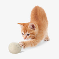 Meow Mist Catnip Refresher Spray