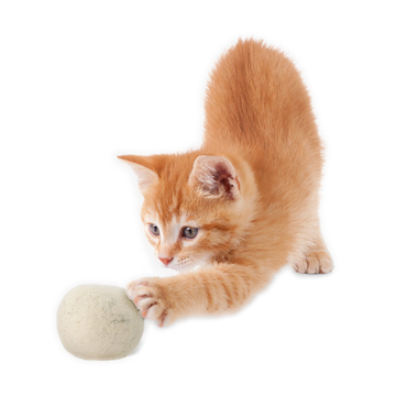 "Meow" Catnip Infused Wool Balls - Set of 2 in a cotton pouch