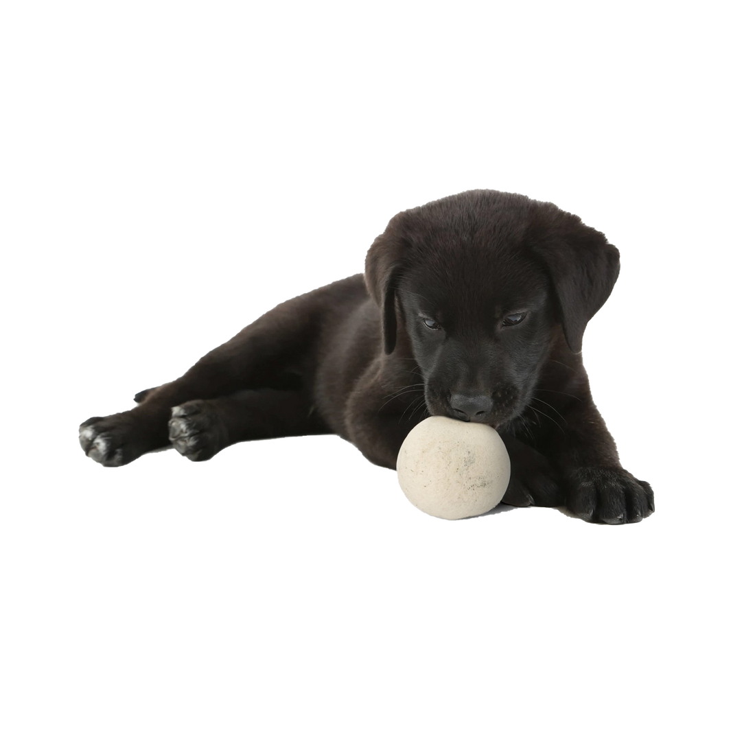 "Woolf" Balls for Dogs - Set of 2 in a cotton pouch