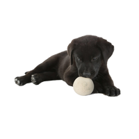 "Woolf" Balls for Dogs - Set of 2 in a cotton pouch